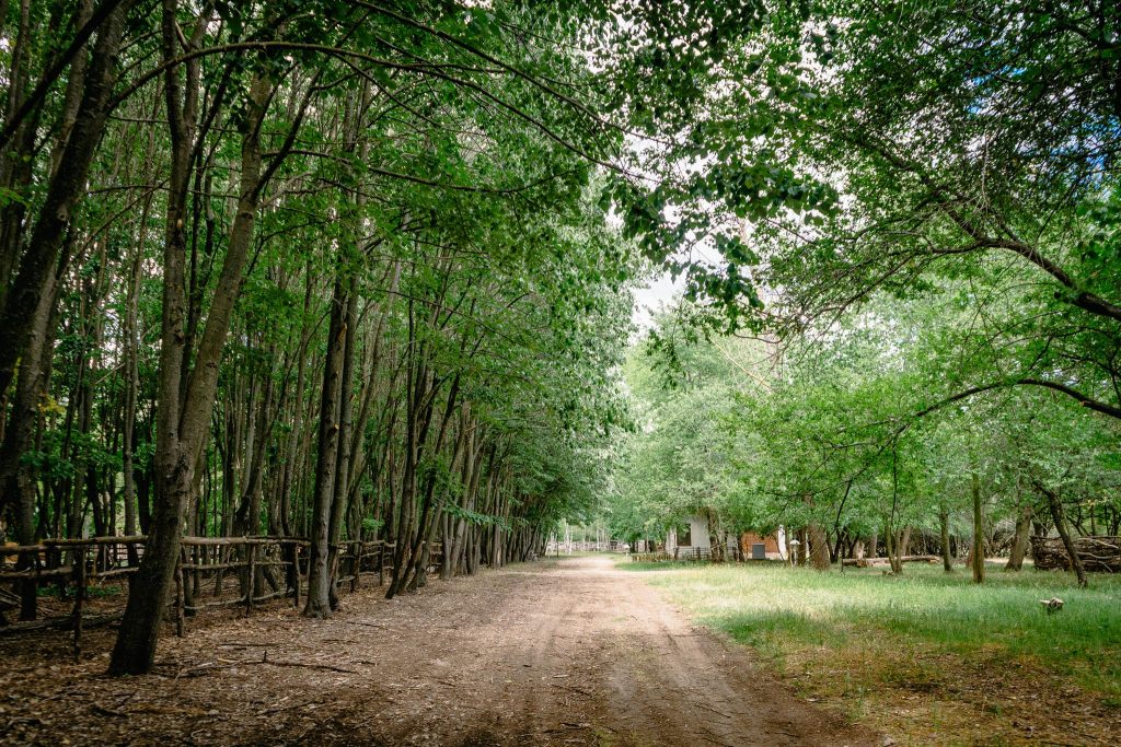 copy of dsc02301